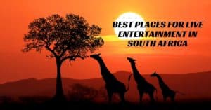 Best places for live entertainment in South Africa