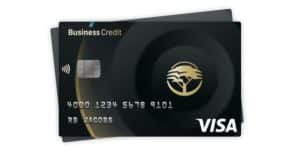 How to Apply for the FNB Gold Business Credit Card